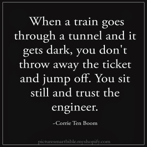 When a train goes through a tunnel and it gets dark, you don't throw ...