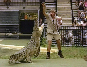 En 2004 Steve Irwin causó polémica al alimentar un cocodrilo con su ...
