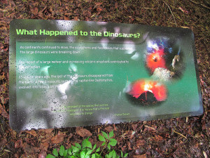 ... , volcanic activity. Standard fare. And a quote from Charles Darwin