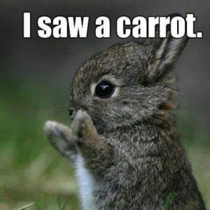 funny-march-pictures-love-quotes-funny-quotes-funny-kids-funny-pics