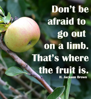 Don’t be afraid to go out on a limb. That’s where the fruit is ...