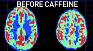 Here's Exactly What Coffee is Doing to Your Brain Image Credit: