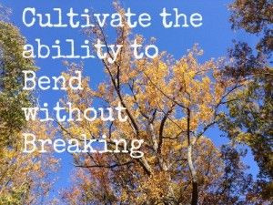 Cultivate the ability to bend without breaking.