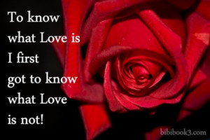 To know what Love is I first got to know what Love is not! ♥