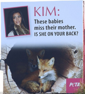 ... PETA attack Kim Kardashian`s fur-wearing habit in billboard campaign