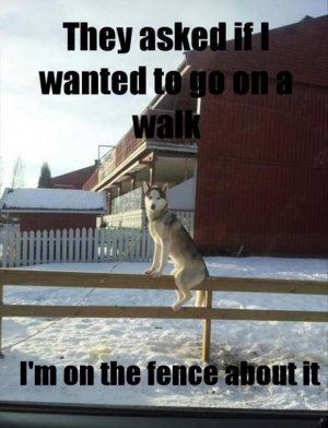 Return to Funny Pictures – 32 Pics