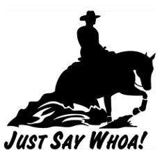 Reining Wall Art Poster