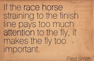 ... Too Much Attention To The Fly, It Makes The Fly Too Important. - Fred