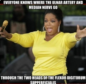 Funny Oprah Winfrey Memes