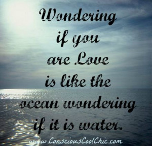 Wondering If You Are Love Is Like The Ocean Wondering If It Is Water
