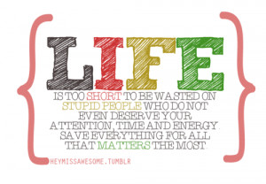 Life is too short to be wasted on stupid people who do not even ...