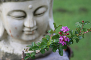 quotes about strength in hard times. Tiny Wisdom: On Hard Times