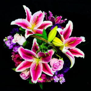 Florist in Moreno Valley Flower Delivery - Elegant Stargazer lily with ...