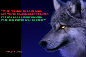 Wolf Pack Quote by xxkrhamslyfoxheartxx
