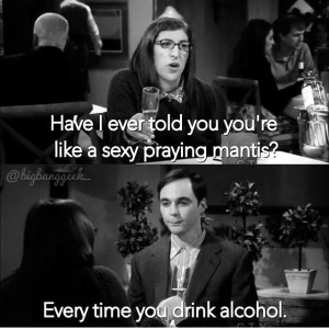 Amy Farrah Fowler and Sheldon Cooper, The Big Bang Theory