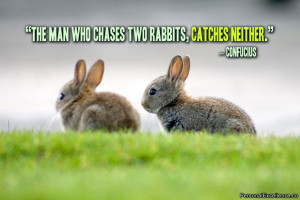 The man who chases two rabbits, catches neither.” ~ Confucius ...