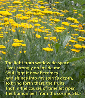 Late summer verse from the Calendar of the Soul by Rudolf Steiner