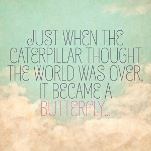 Butterfly quotes