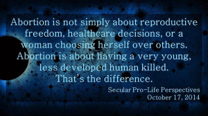 Abortion Is Not Simply About Reproductive Freedom Healthcare Decisions ...