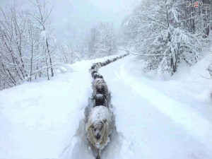 Kevin Hart Seriously Funny Quotes