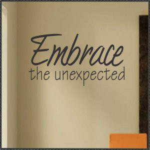 Vinyl Wall Quote Embrace the Unexpected