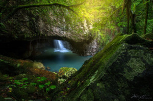 ... nature forest amazing fantasy river pagan wicca mother nature