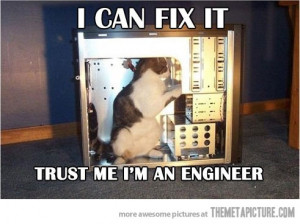 Funny photos funny cat fixing computer engineer