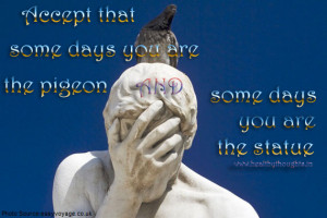 ... at some days you are the pigeon and at some days you are the statue