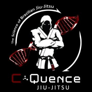 cquence jiu jitsu Image
