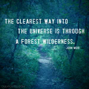 ... into the universe is through a forest wilderness quote by John Muir