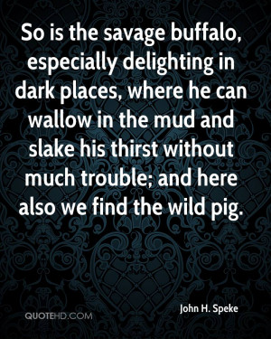 buffalo, especially delighting in dark places, where he can wallow ...