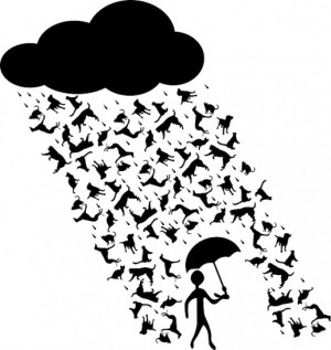 It's Raining Cats and Dogs – Or Is It