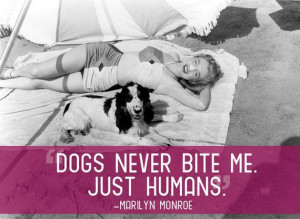 After reading these quotes you will love your pet even more.