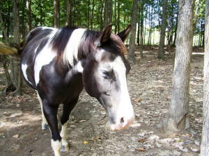 Funny Quotes Contact Us DMCA Notice