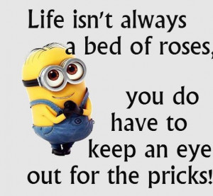 bedtime quotes and sayings By Minions....(5 Photos)