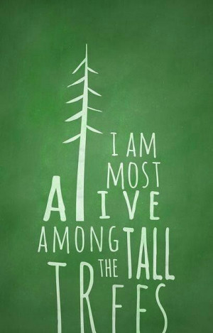 am most alive among the tall trees