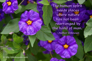 The human spirit needs places where nature has not been rearranged by ...