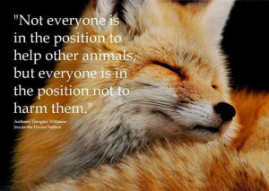 ... animals, but everyone is in the position not to harm them.