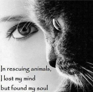 In rescuing animals, I lost my mind but found my soul