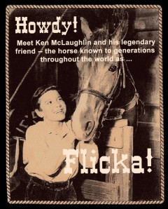 fans add to my movies my friend flicka movie 1943 no summary found ...