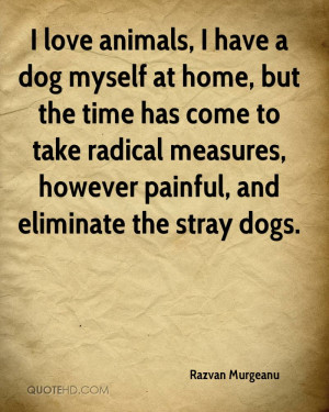 Love Dogs Quotes