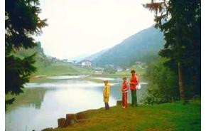 Order Quit Smoking Painlessly