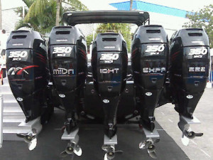 Thread: Custom cc, designed just for ozarks?