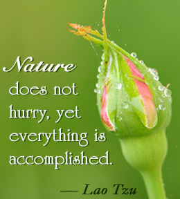 In dwelling, live close to the ground. In thinking, keep to the simple ...