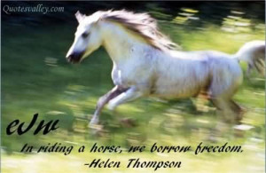 horse quotes and sayings horse quotes amp cowgirl quotes mustang horse ...