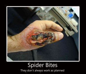Spider Bites They May Not Work As You Had Hoped (NSFW) funny image