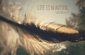 life quotes tumblr mobile Life Is Beautiful Cover Photos Wallpaper I ...