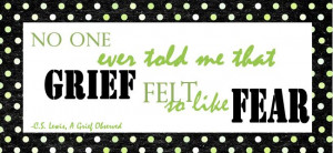 ... told me that grief felt so like fear.