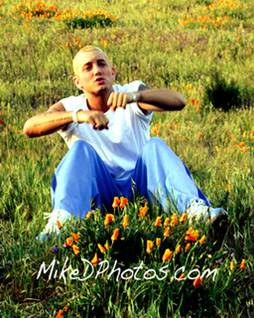 Tags: #Eminem #Purple Hills #D12