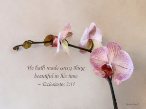 ecclesiastes 3:11 he hath made everything beautiful, by susan savad